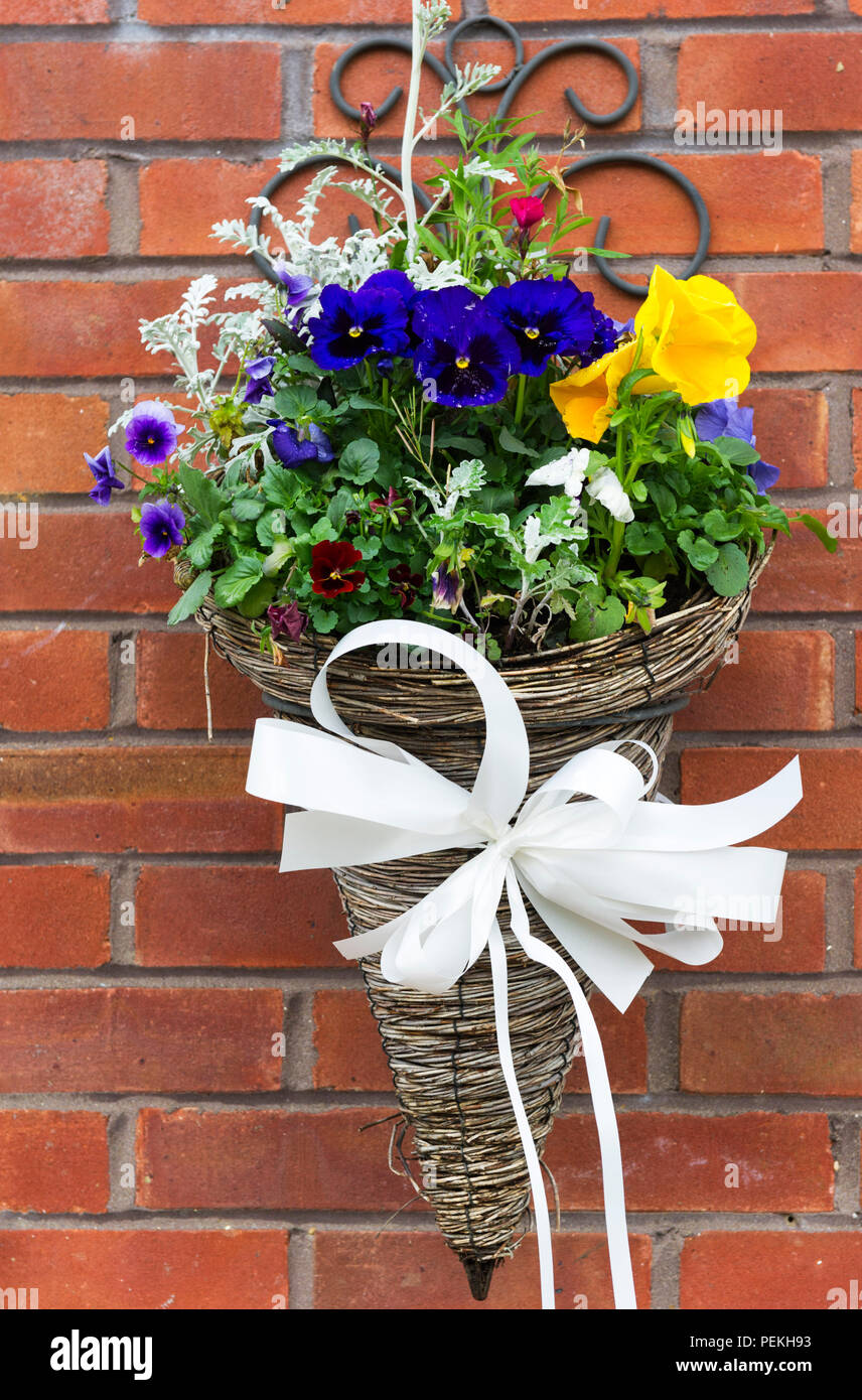 Cone shaped flowers hires stock photography and images Alamy