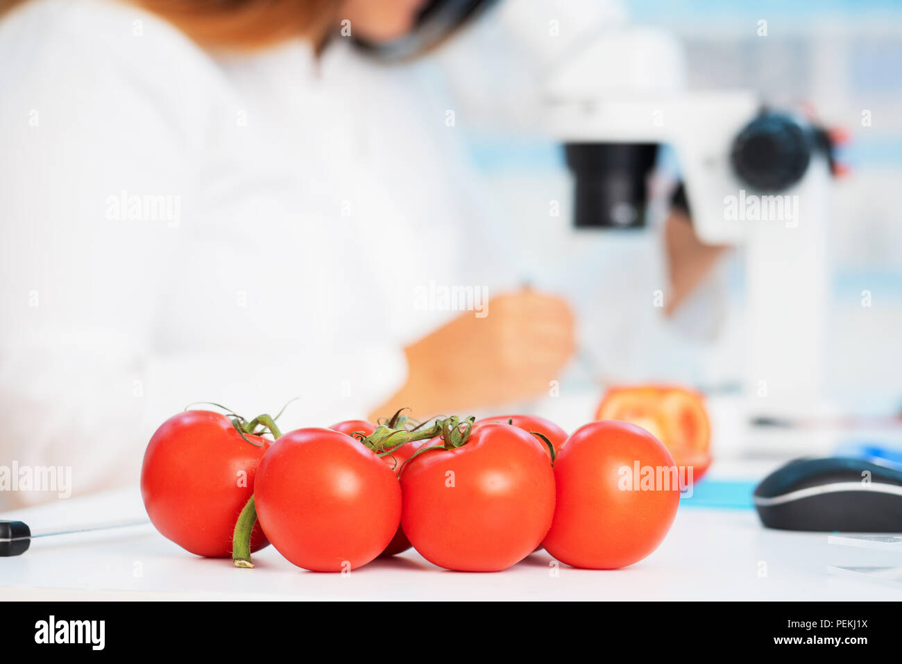 tomatoes in quality inspection lab Stock Photo Alamy
