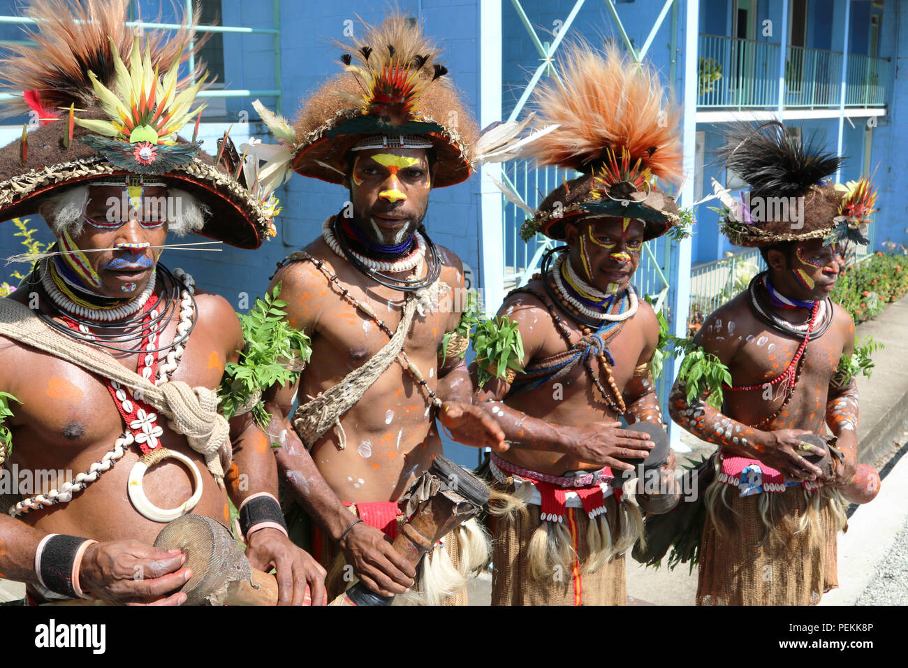 Traditionally Dressed Papua New Guinean Warrior Dancers Play Drums