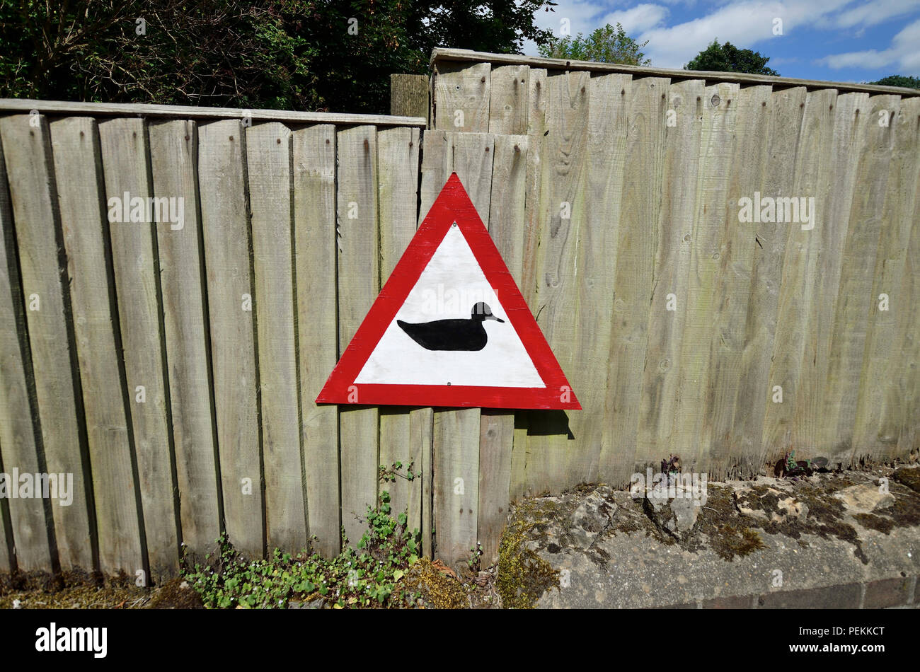 Beware ducks road sign in Loose Village, Maidstone, Kent, UK. Stock Photo