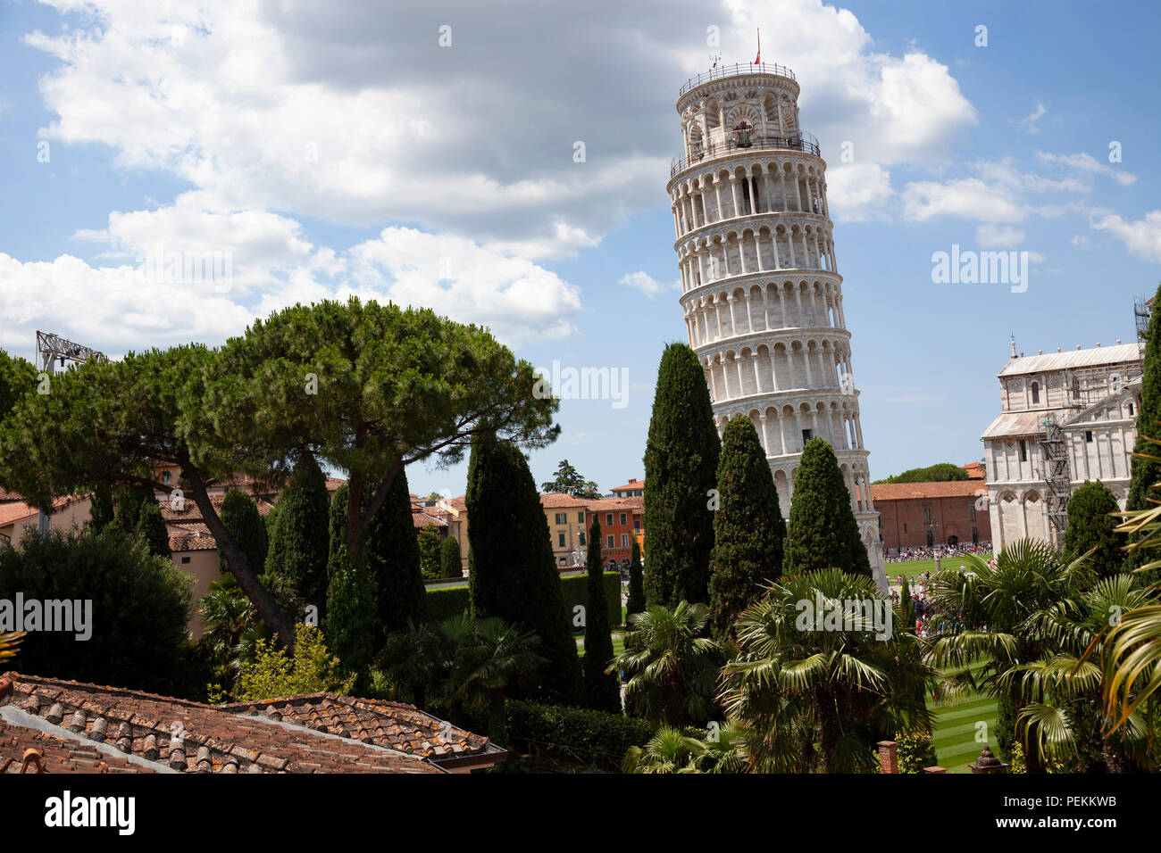 The Northern side of the Leaning Tower of Pisa (Tuscany) seen from an unusual visual angle. Le côté Nord de la Tour penchée de Pise (Toscane). Stock Photo