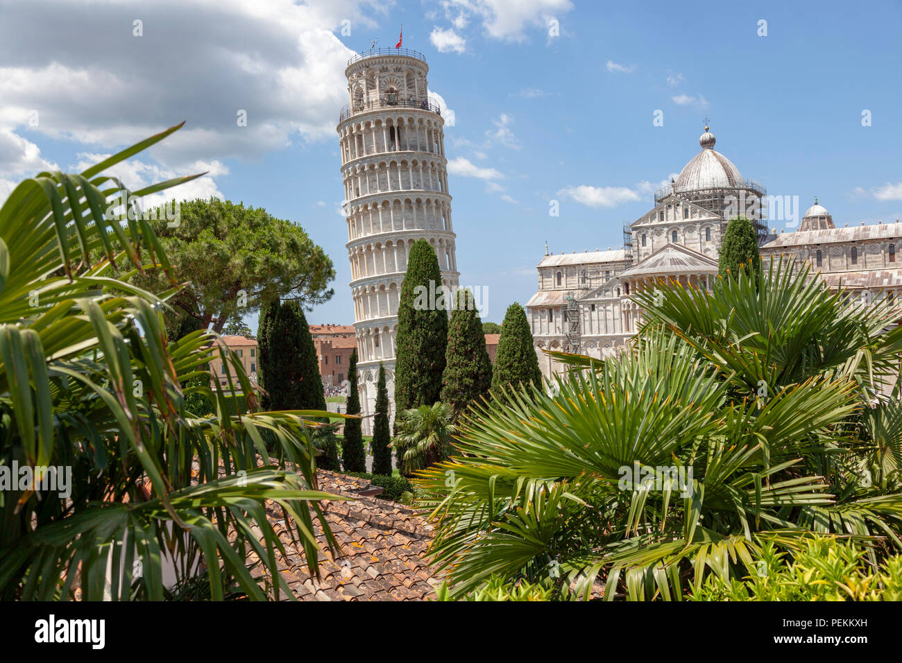The Northern sides of the Leaning Tower and the cathedral of Pisa (Tuscany) seen from an unusual visual angle. Le côté Nord de la Tour penchée de Pise Stock Photo