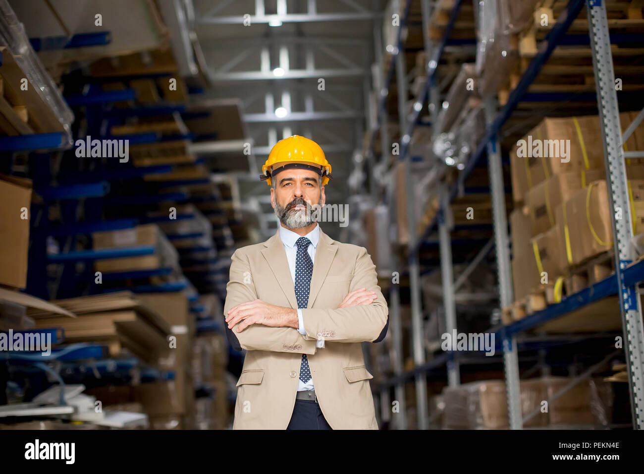 Portrait of senior handsome businessman in suit with helmet in a ...