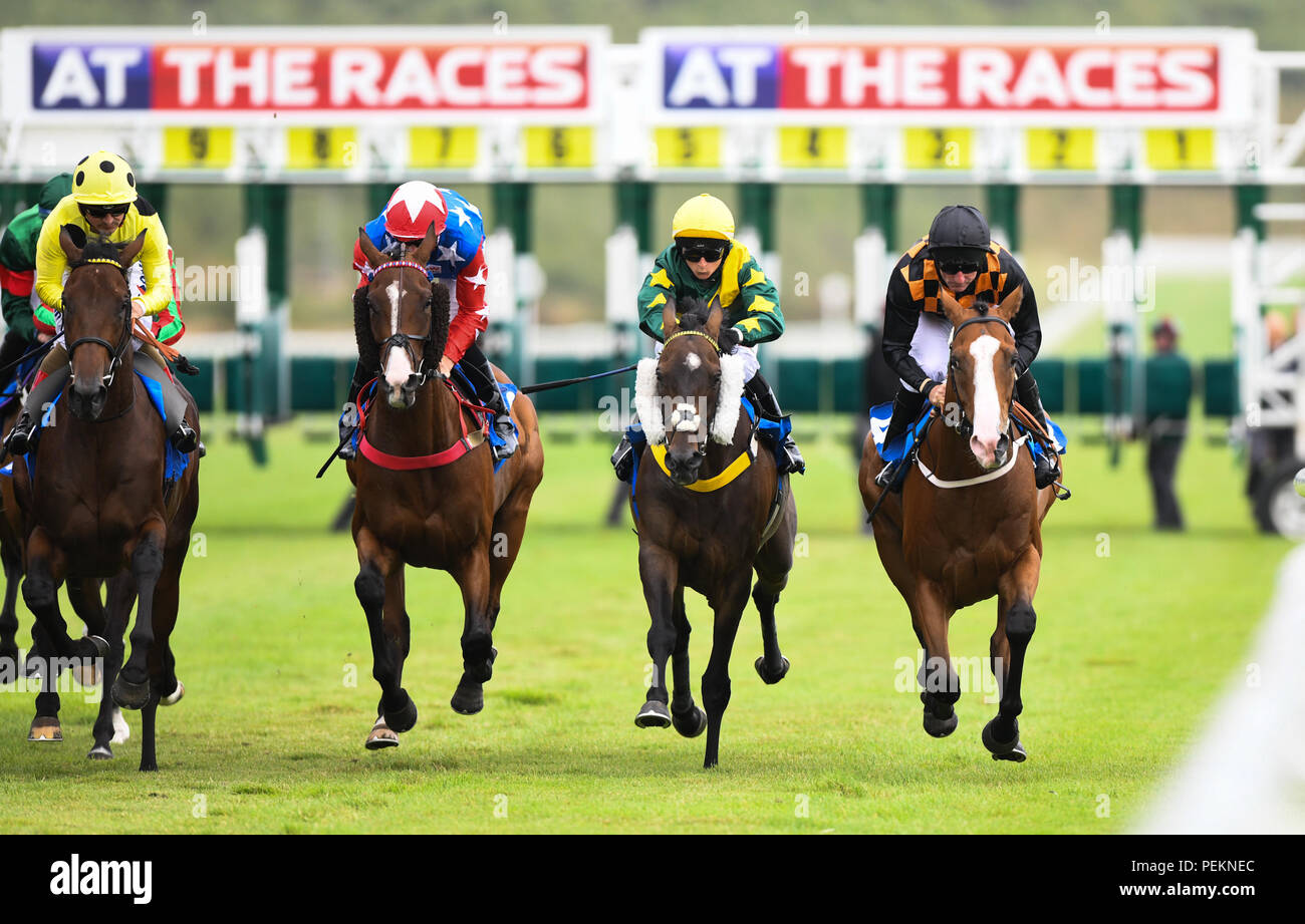 Horses taking part in a horse race a Fos Lass racecourse in Wales. A ...