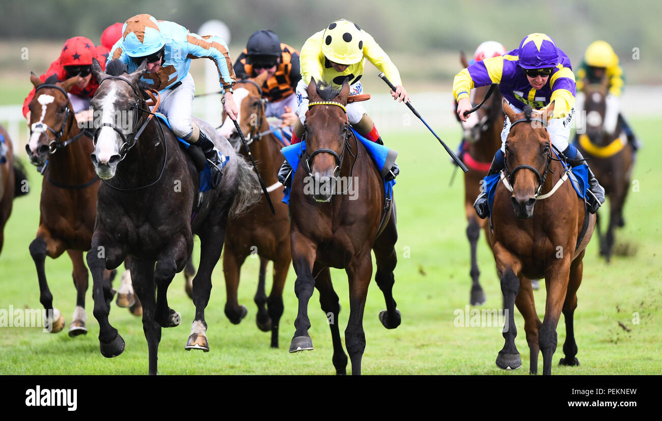Horses taking part in a horse race a Fos Lass racecourse in Wales Stock ...