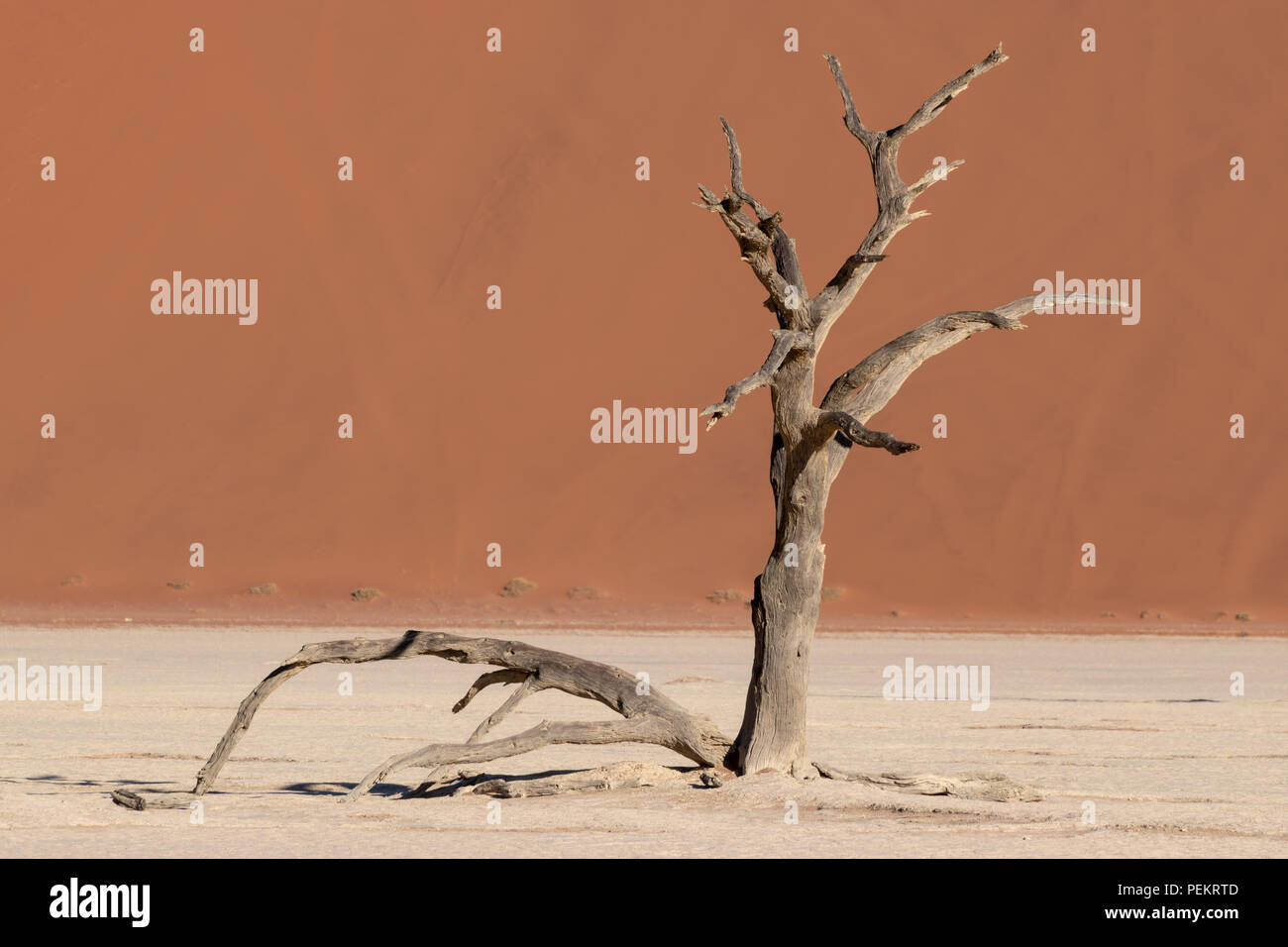 Red sand dune with lone dead branches, Deadvlei, Namibia Stock Photo