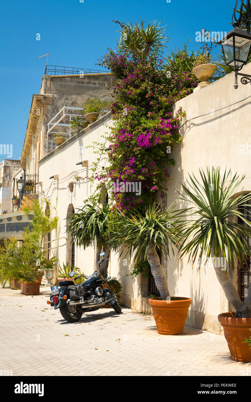 Italy Sicily Syracuse Siracusa Ortygia typical street scene old town yucca plants trees planters motorbike bougainvillea cobbled road street light Stock Photo