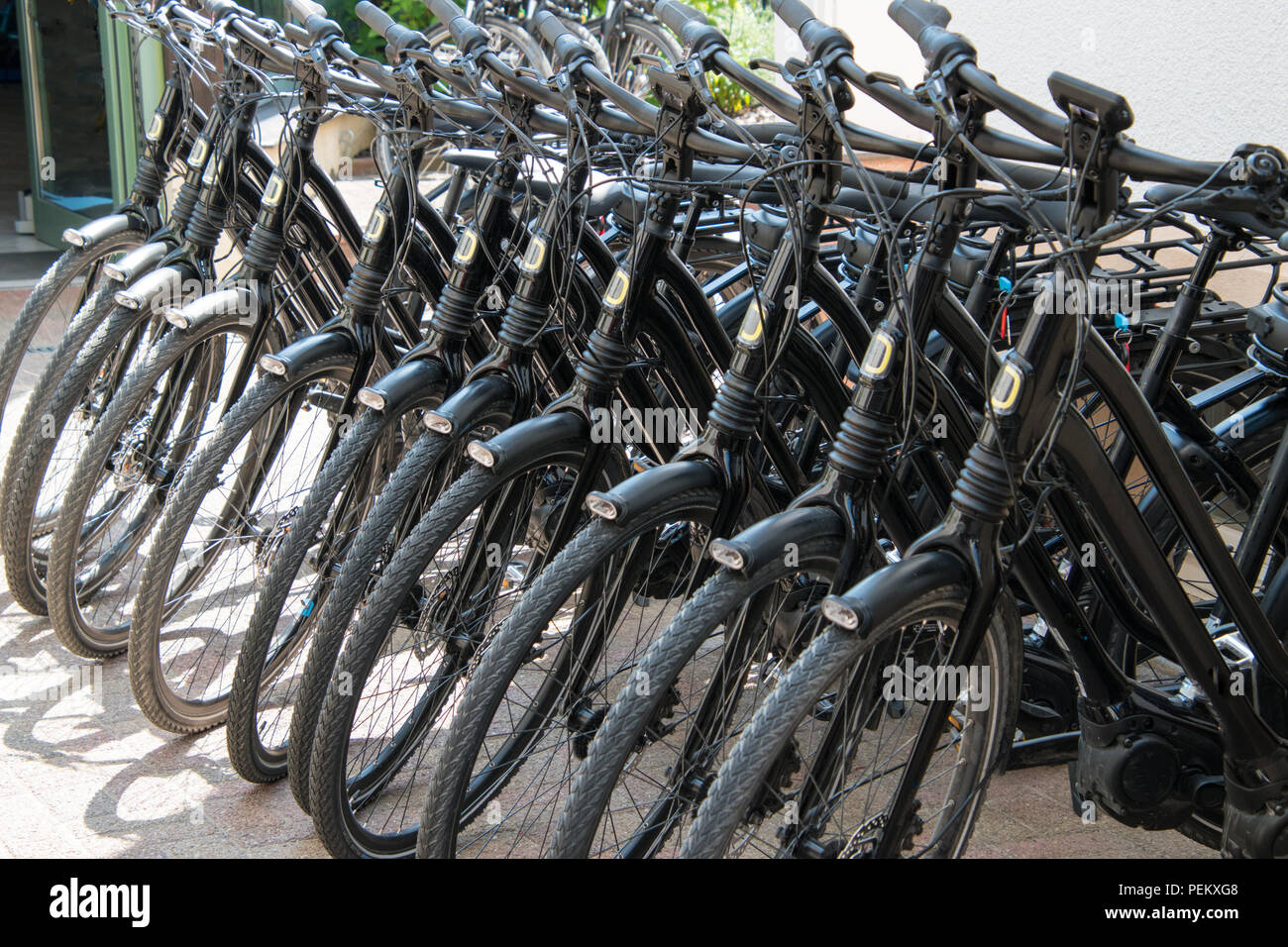 Group Of Eleven High Resolution Stock Photography and Images Alamy