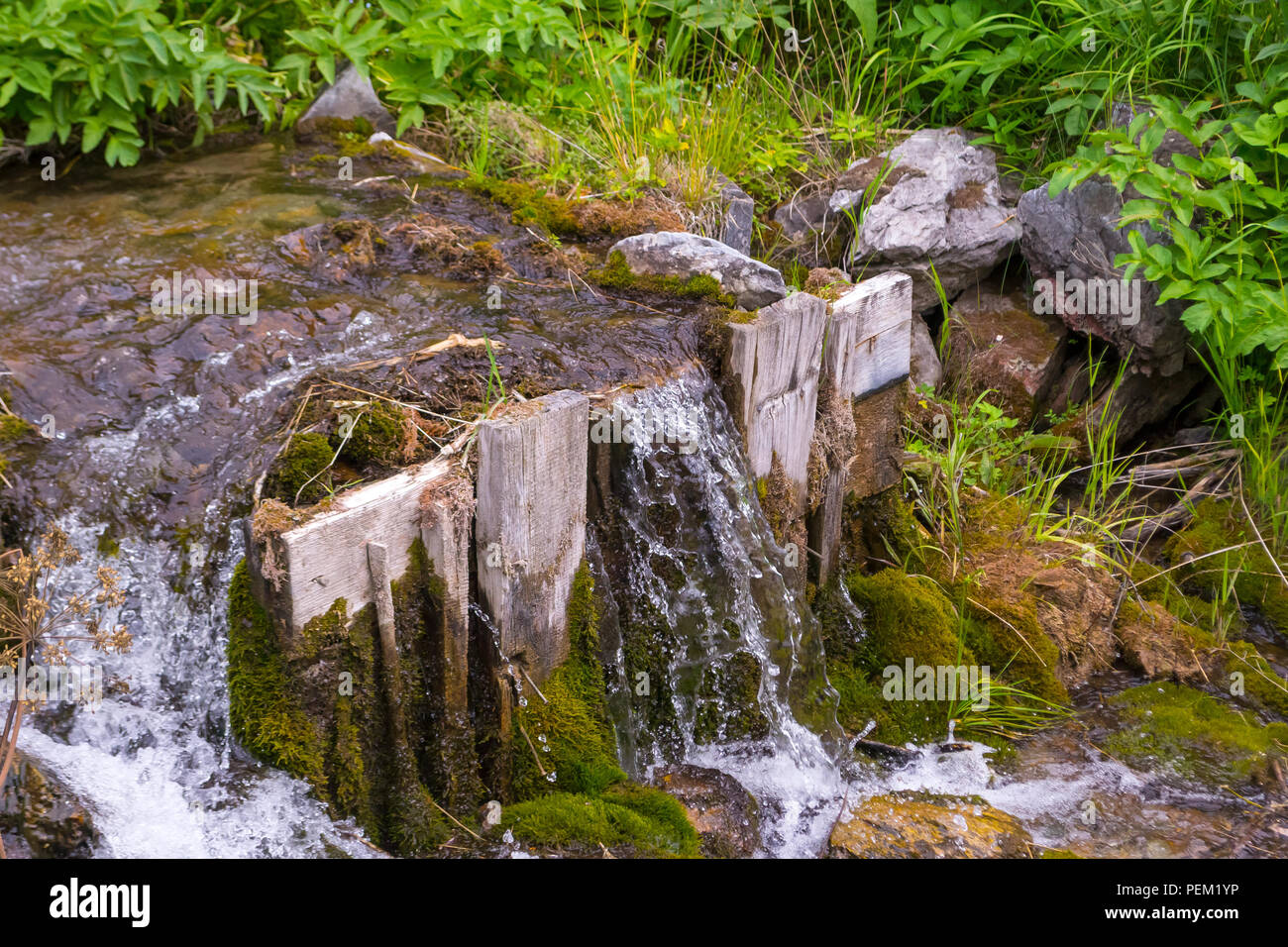 A small waterfall between the stones and two wooden planks among the green grass from a creek with clear mountain water in the mountains of the Altai Stock Photo