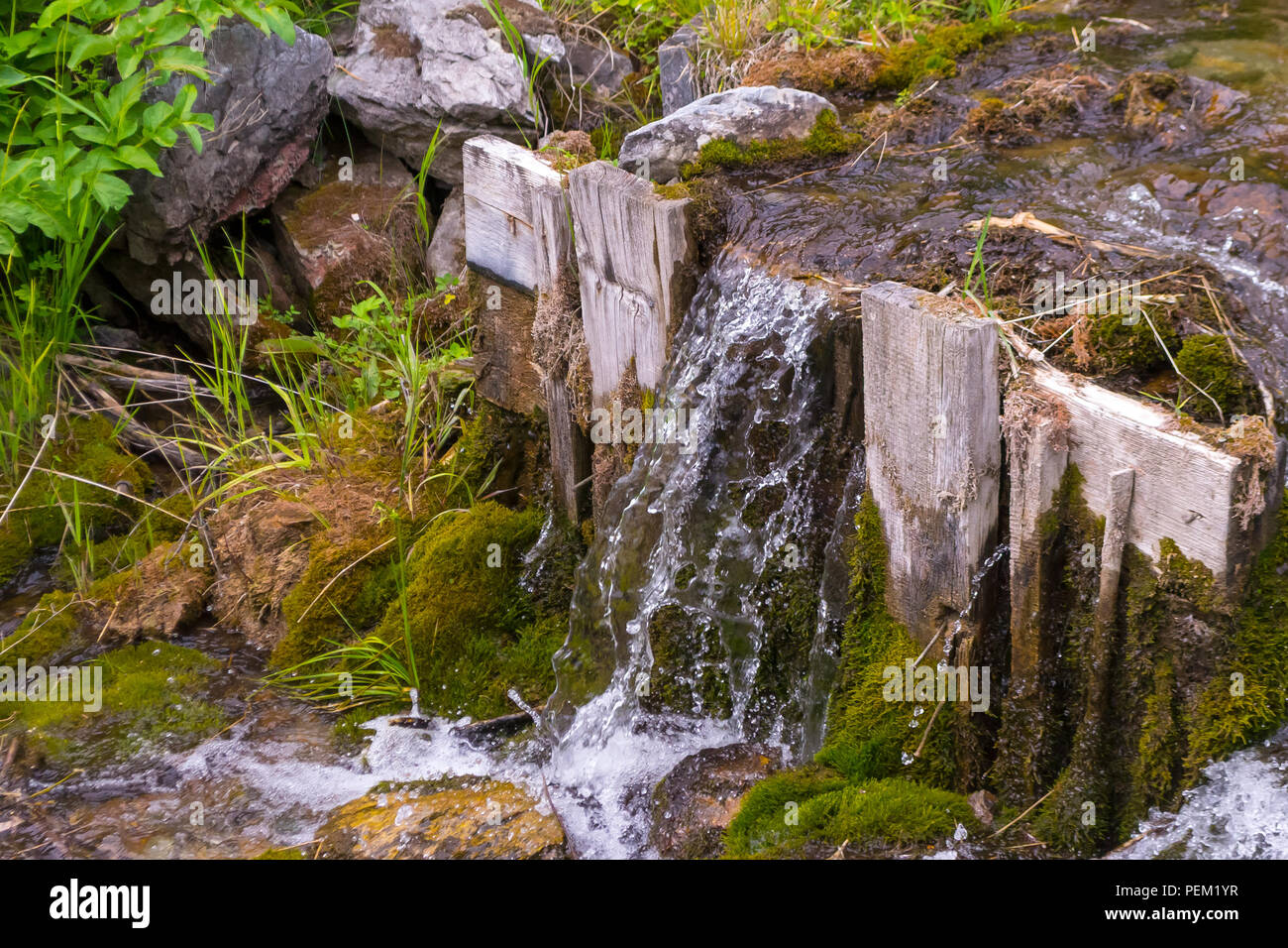 A small waterfall between the stones and two wooden planks among the green grass from a creek with clear mountain water in the mountains of the Altai Stock Photo
