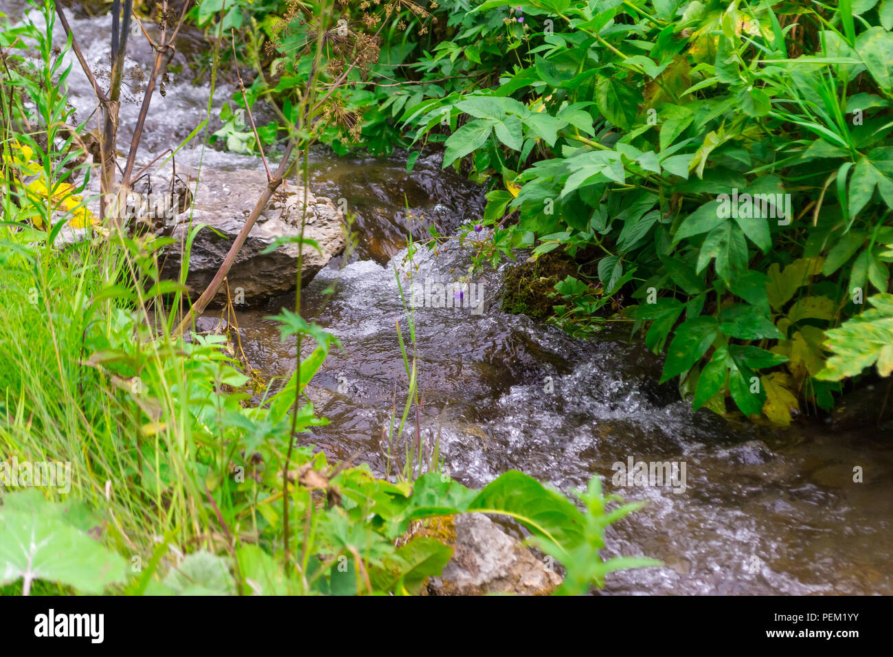 A small waterfall between the stones among the green grass from a creek with clear mountain water in the mountains of the Altai Stock Photo