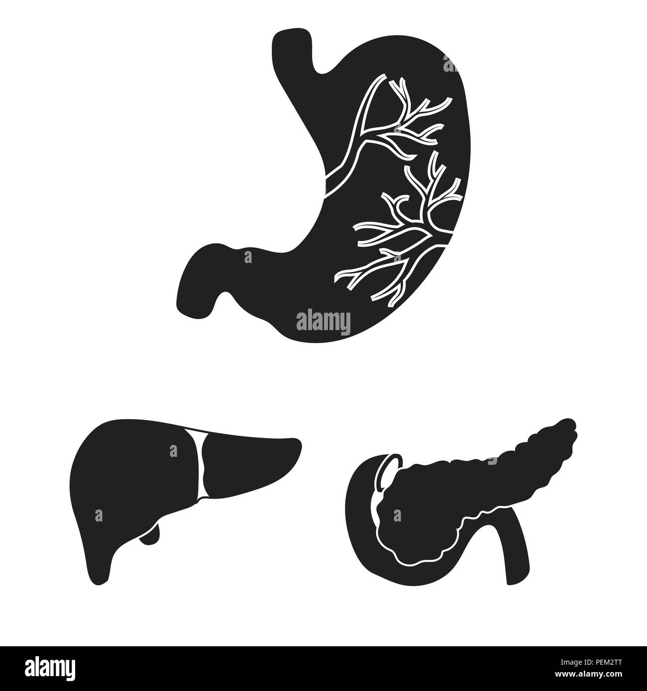 Internal organs of a human black icons in set collection for design ...