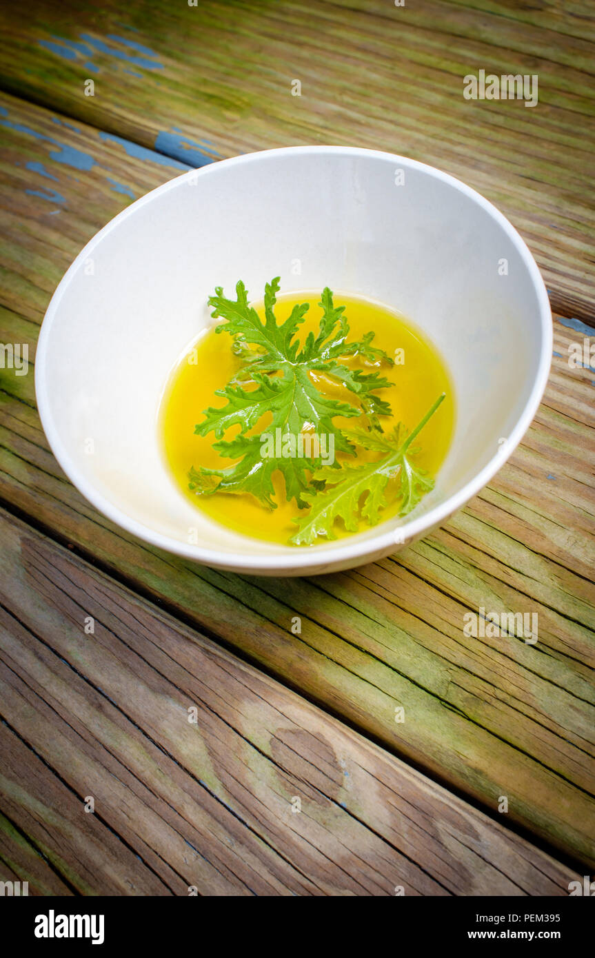 A citronella plant leaf resting in oil to make homemade mosquito