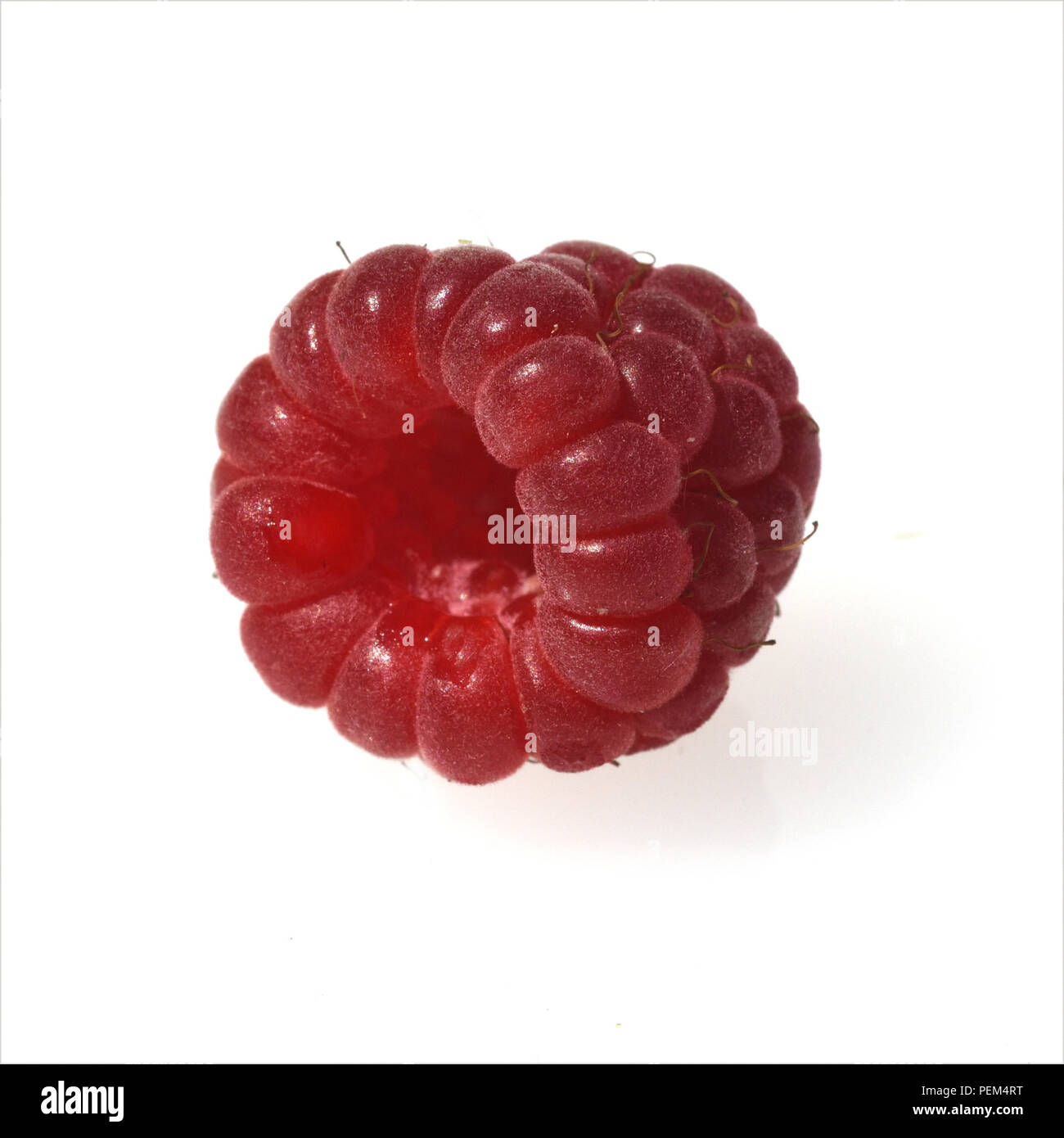 Himbeeren, Rubus, idaeus Stock Photo