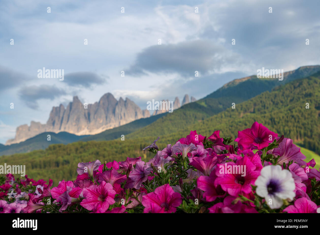 View of the Geisler, Dolomites Stock Photo - Alamy