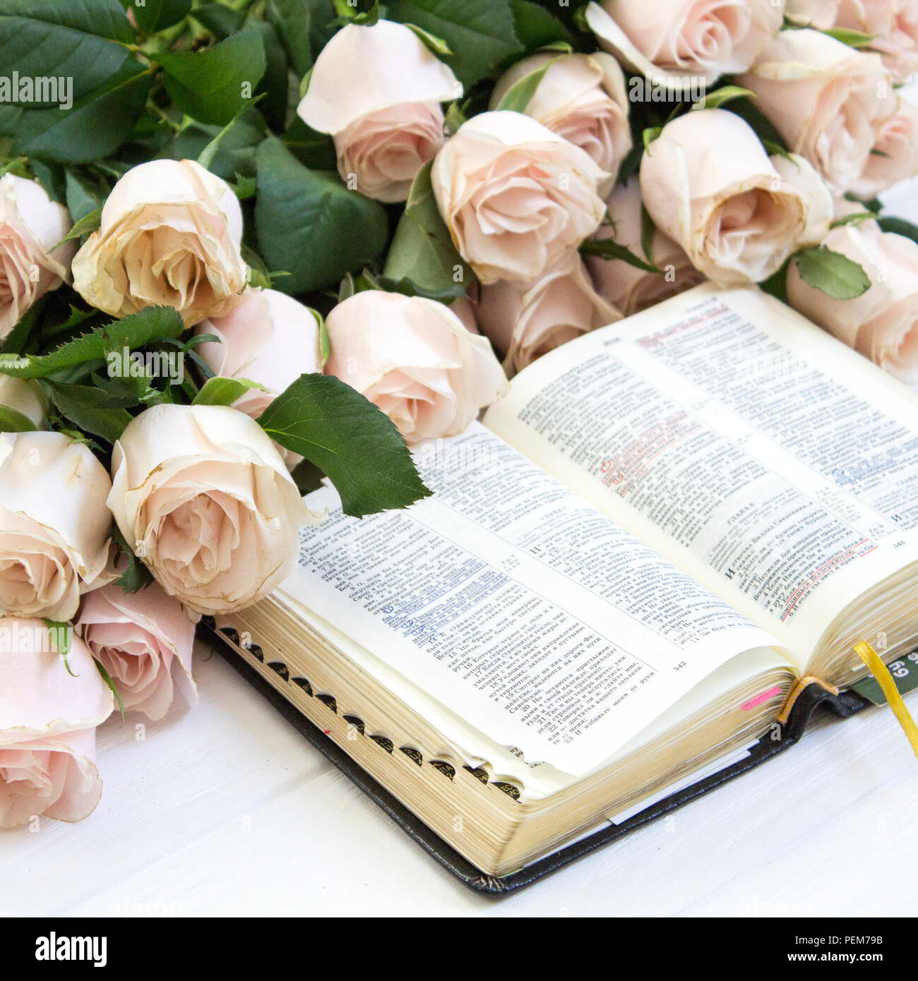 Roses and the Bible. Holy Bible. Edification Stock Photo Alamy