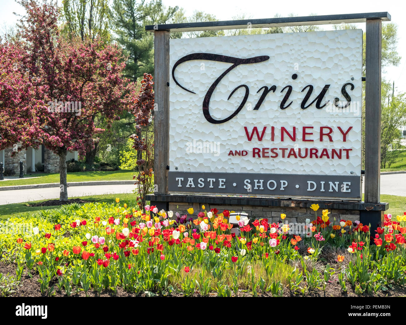 Trius winery and restaurant sign surrounded by tulips at the entrance to this popular winery in Niagara on the Lake Ontario Canada. Stock Photo