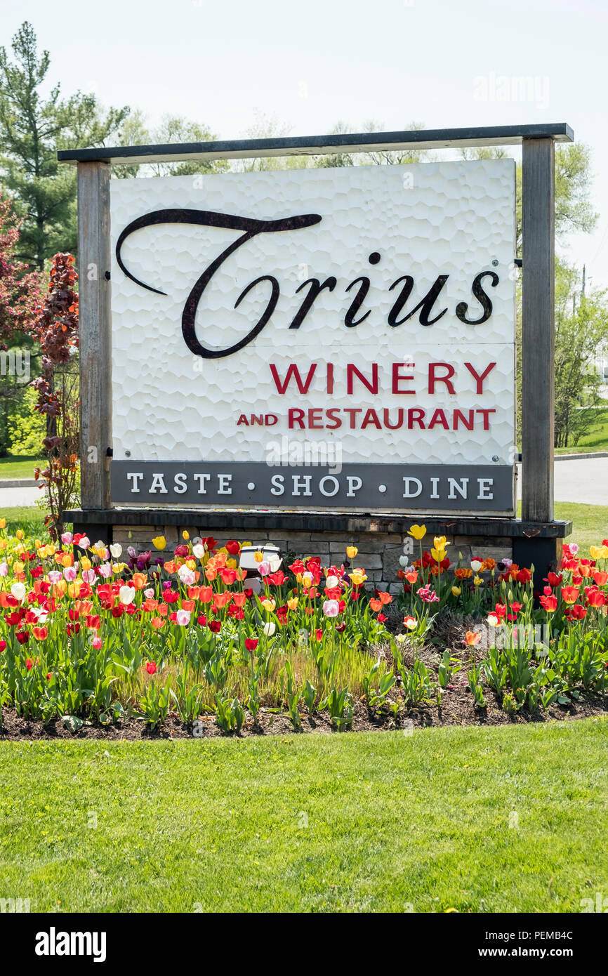 Trius Winery and Restaurant sign in a bed of tulips located in Niagara on the Lake Ontario Canada. Stock Photo