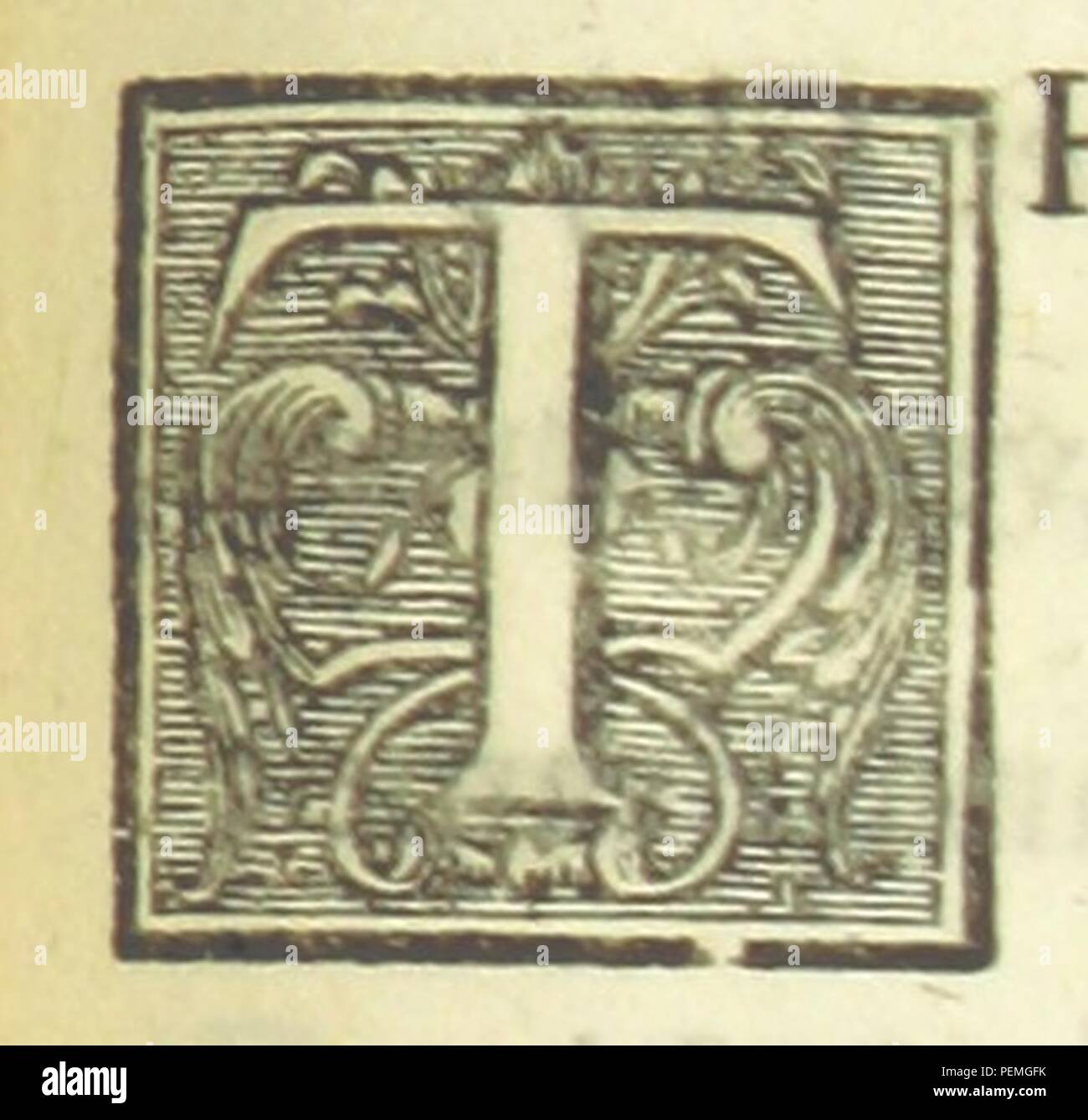 Historic archive Image taken from page 333 of 'Creation ... The second edition' Stock Photo