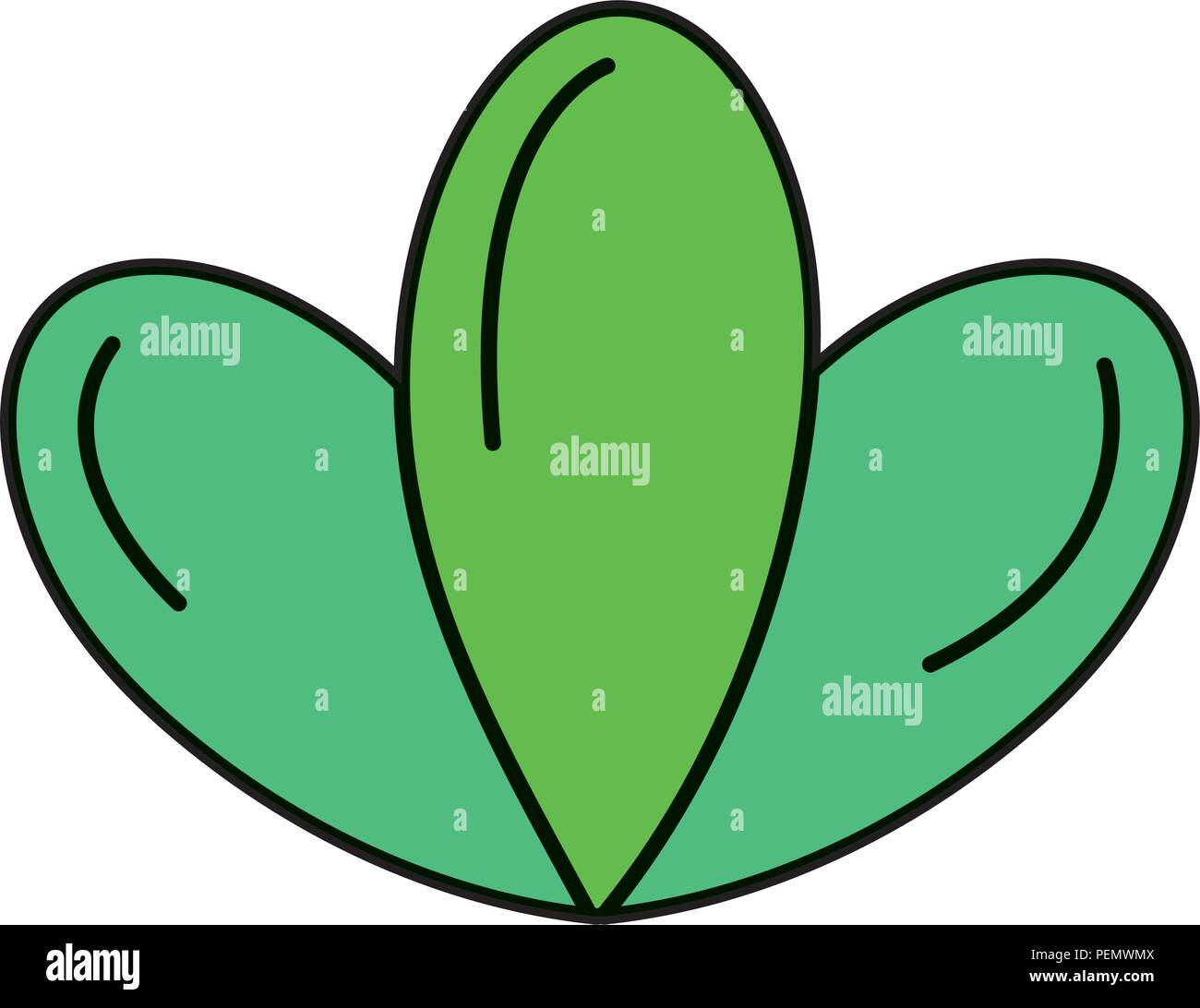 color nice tropical leaves plant style Stock Vector Image & Art - Alamy