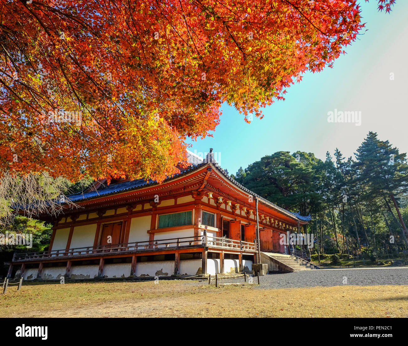 Autumn colour leaves golden temple hi-res stock photography and images ...