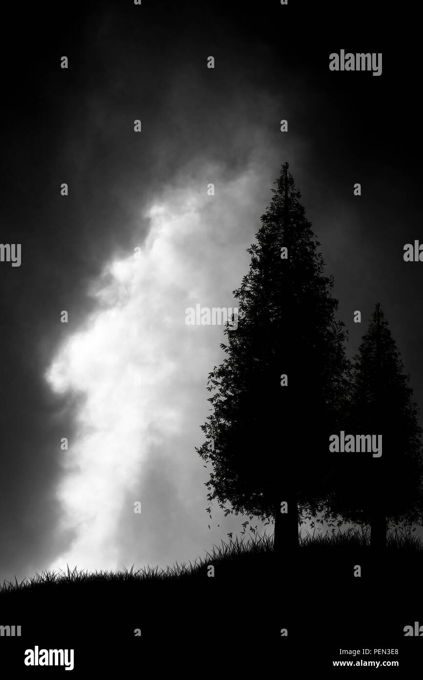 silhouette of trees against a background of dark clouds Stock Photo - Alamy