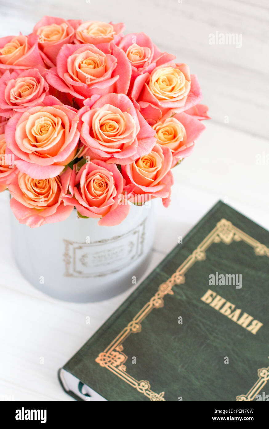 Roses in a round box and the Bible. Beautiful pink roses on a white ...