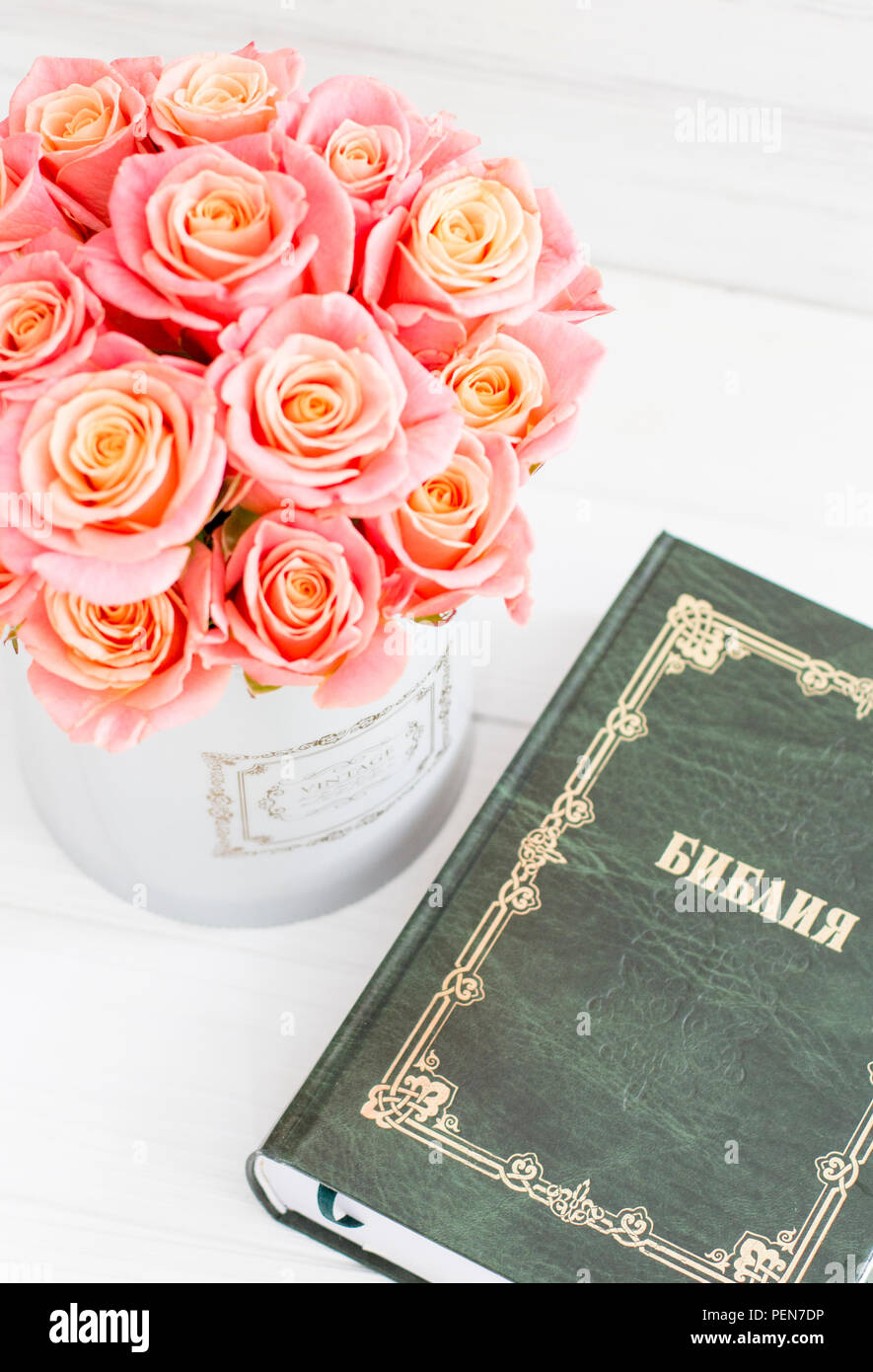 Roses in a round box and the Bible. Beautiful pink roses on a white ...