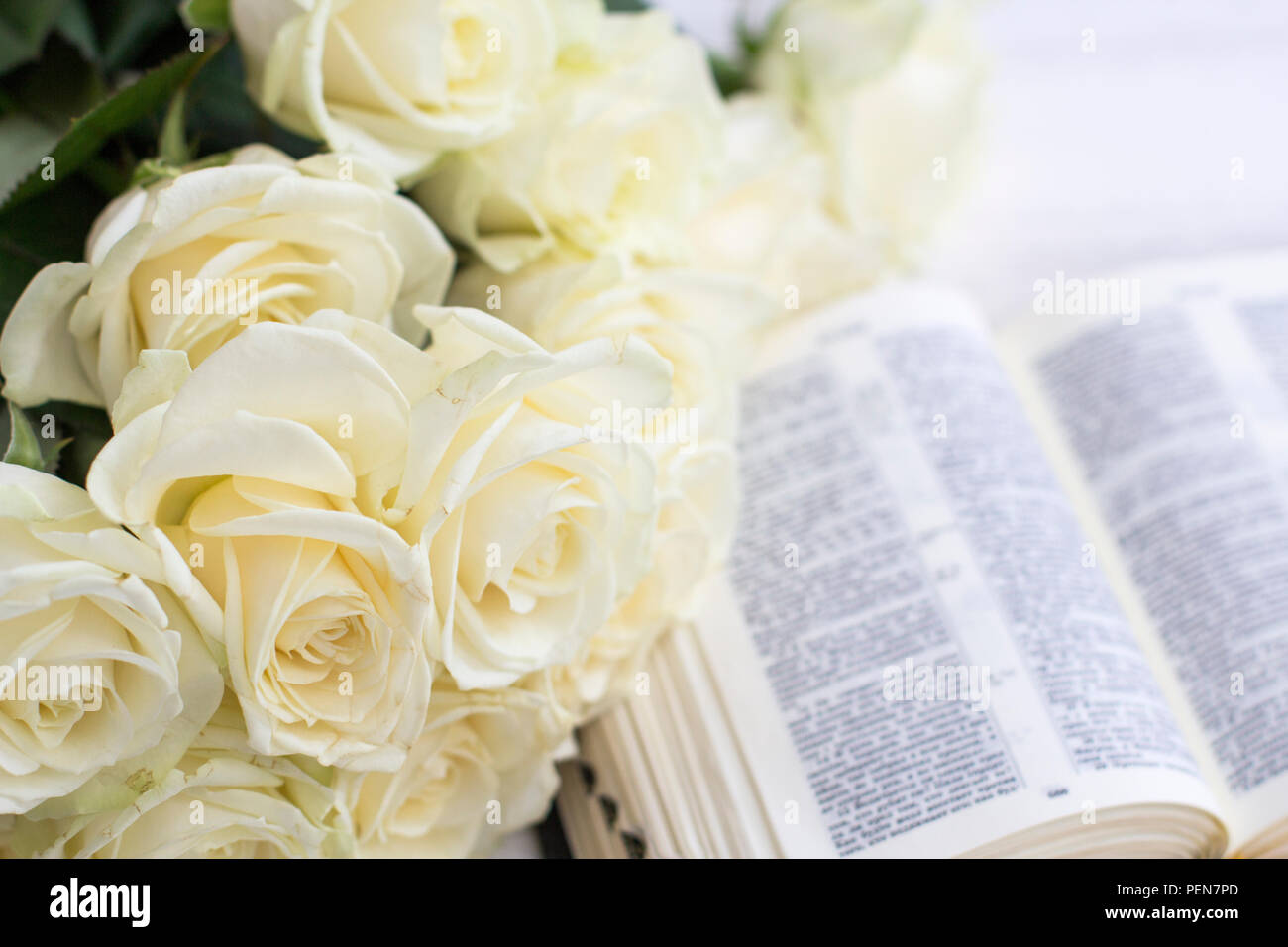 White roses and the Bible. White roses and the Bible on a white wooden