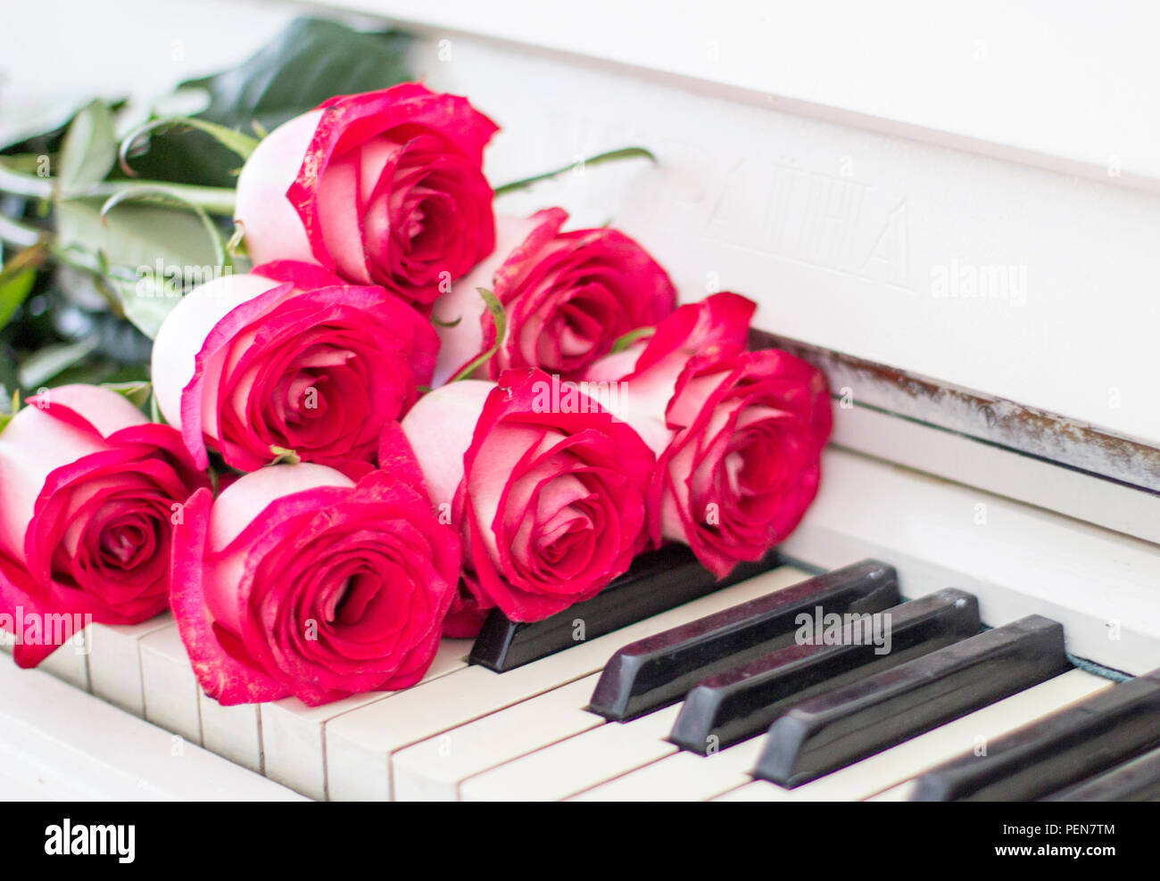 Piano Keys With Roses High Resolution Stock Photography And Images Alamy