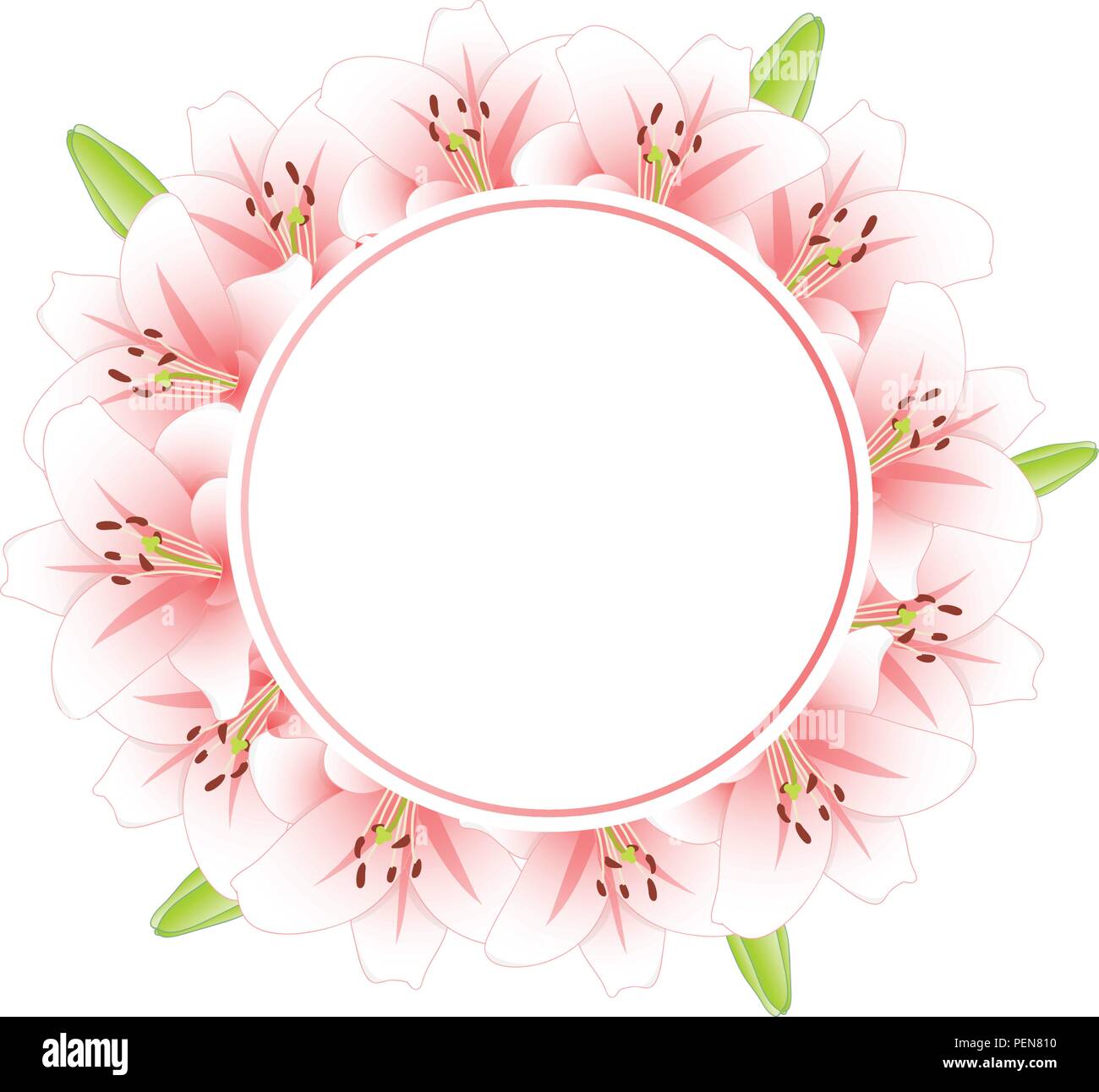 Pink Lily Flower Banner Wreath isolated on White Background. Vector