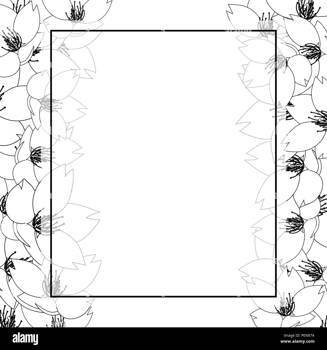 Prunus serrulata  - Cherry blossom, Sakura Outline Banner Card Border isolated on White Background. Vector Illustration. Stock Vector