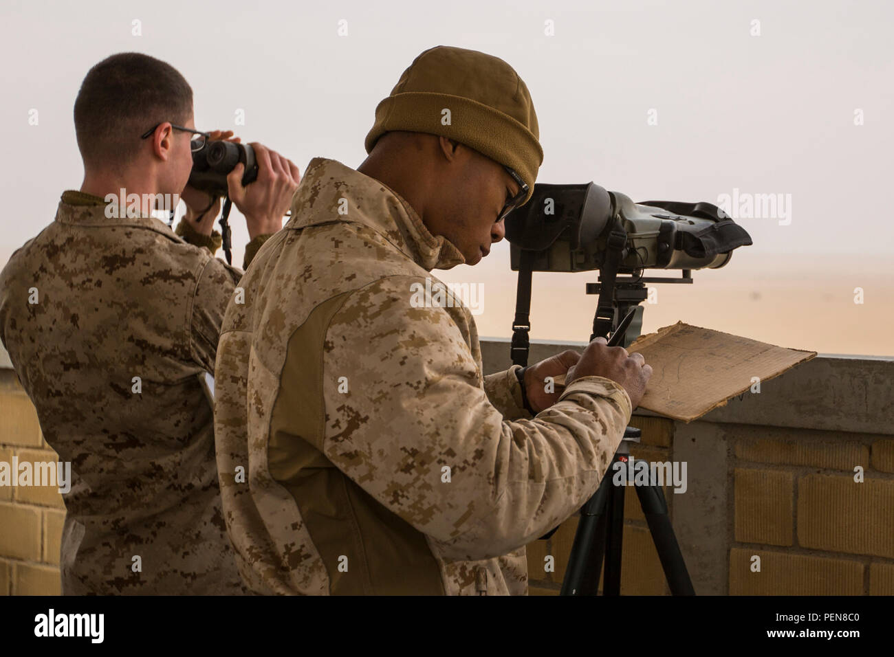 Rashund hi-res stock photography and images - Alamy