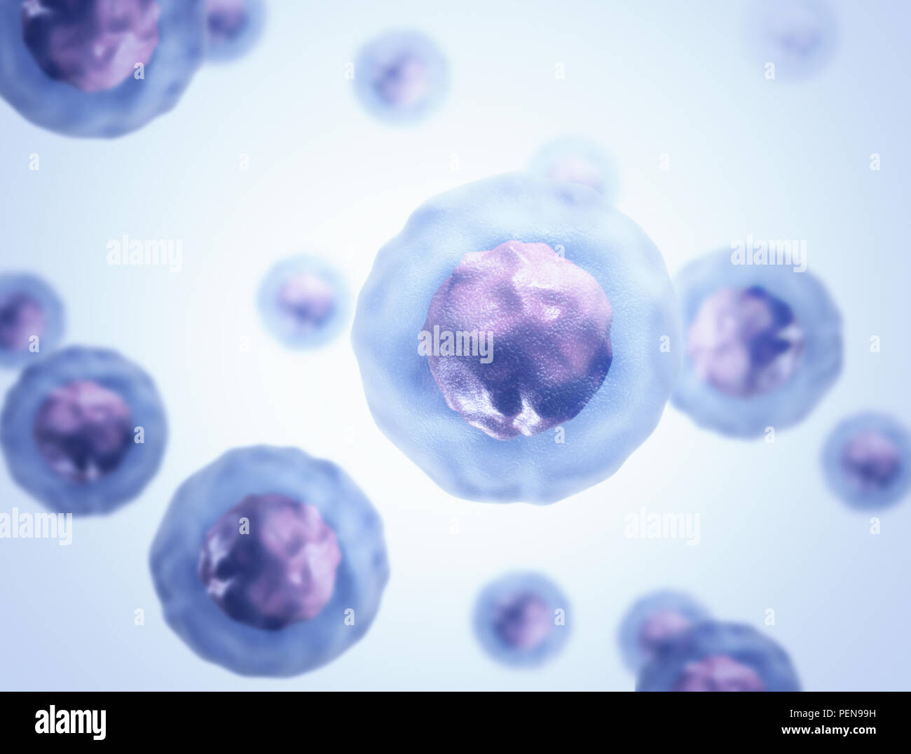 Biology background blue cells under microscope. Biology science and