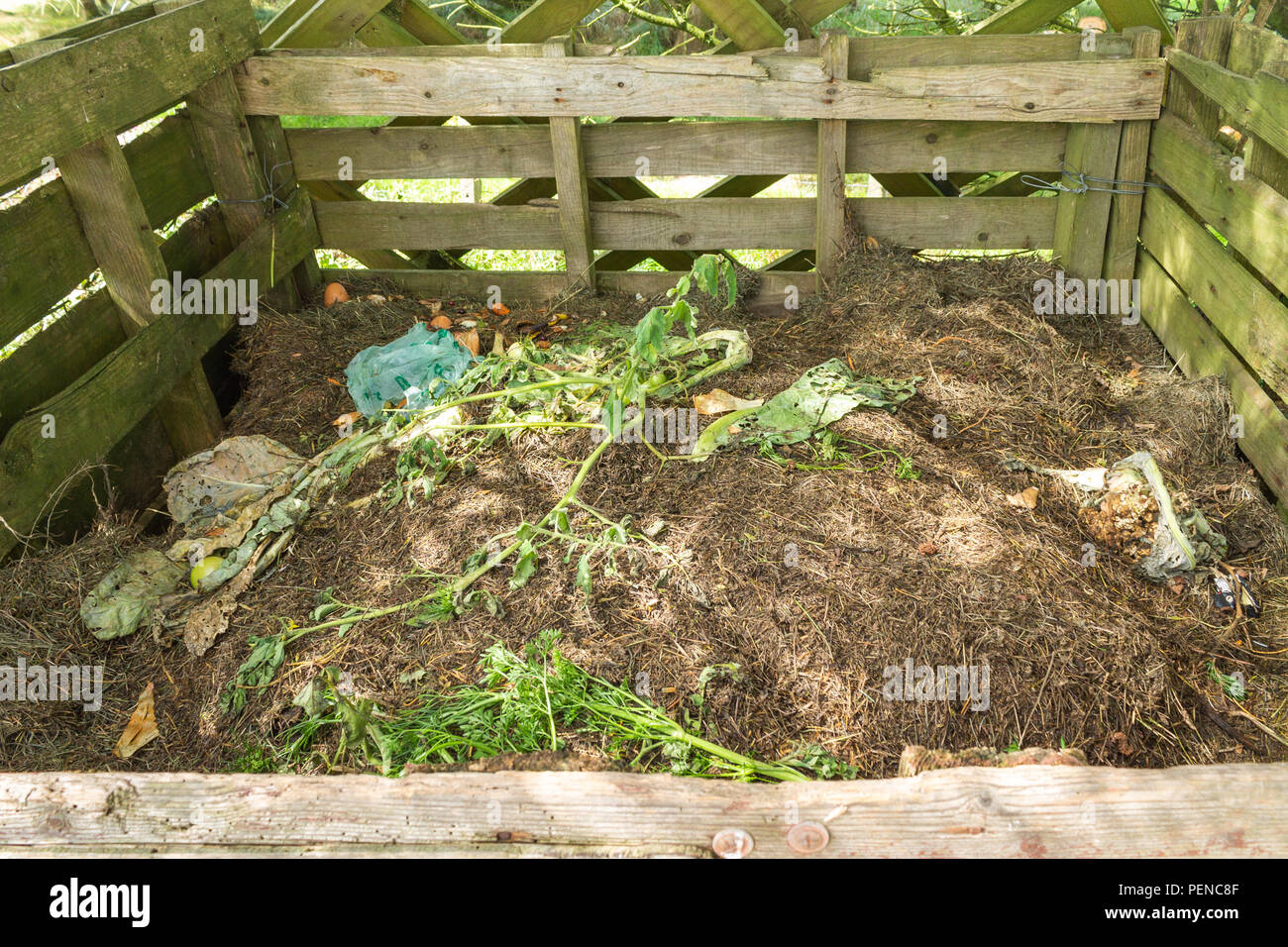 rotting compost in a bin made of wooden pallets. Stock Photo