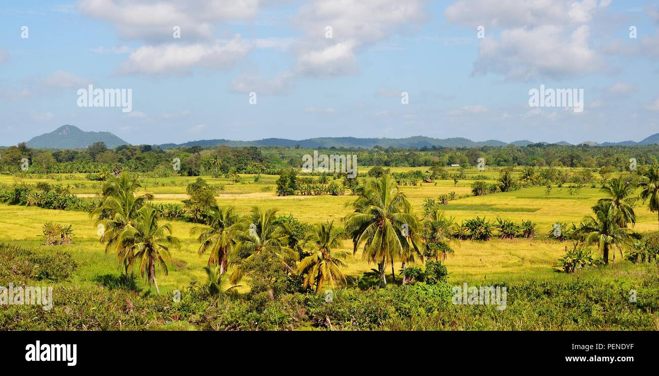 view across the countryside near Kandalama, Sri Lanka Stock Photo