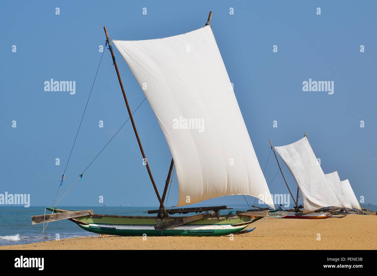 Oruwa fishing boats on Negombo Beach, Sri Lanka Stock Photo