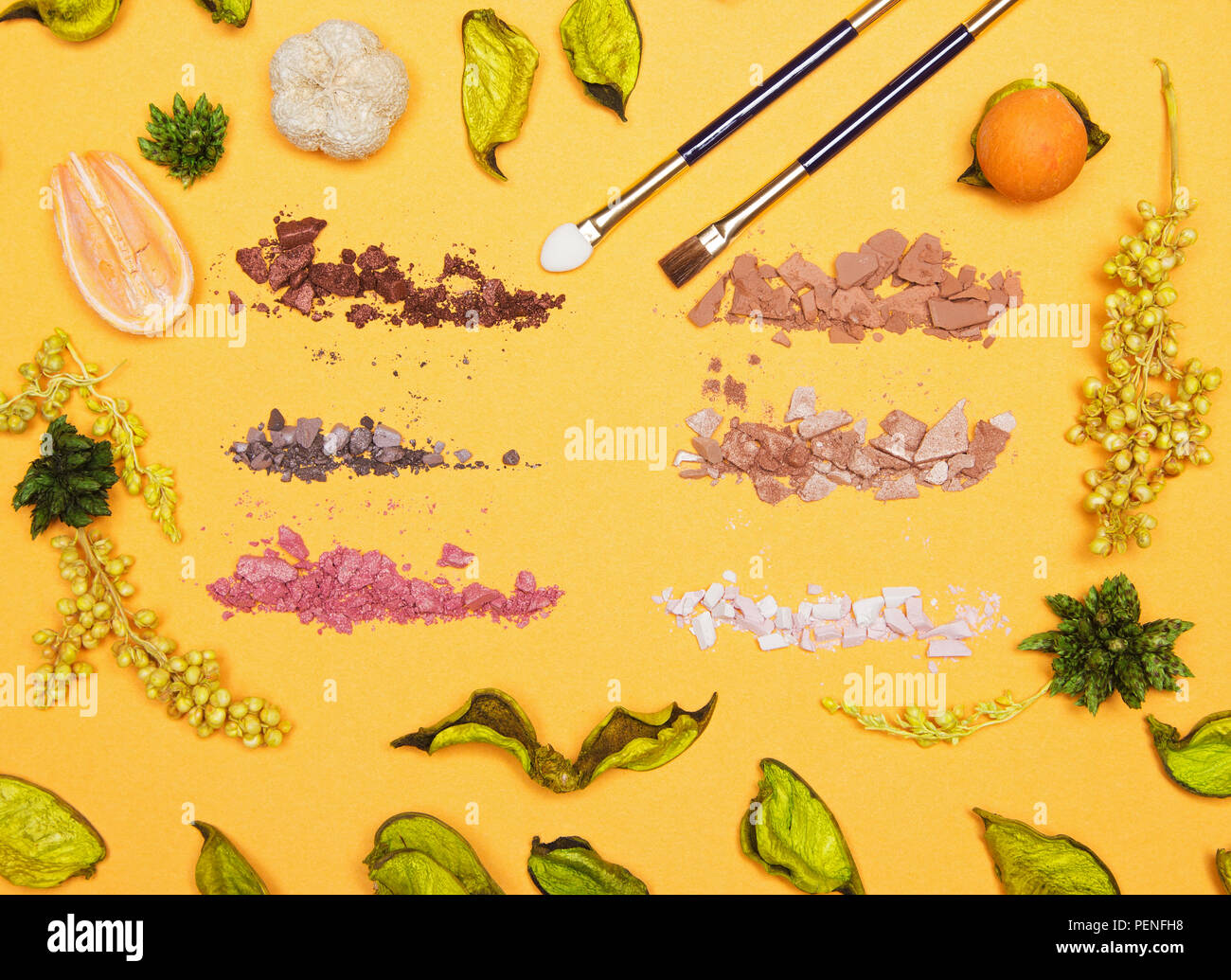 Autumn makeup concept: varicolored crushed compact eyeshadow with makeup brush and applicator in frame of variety of dried plants on yellow background Stock Photo