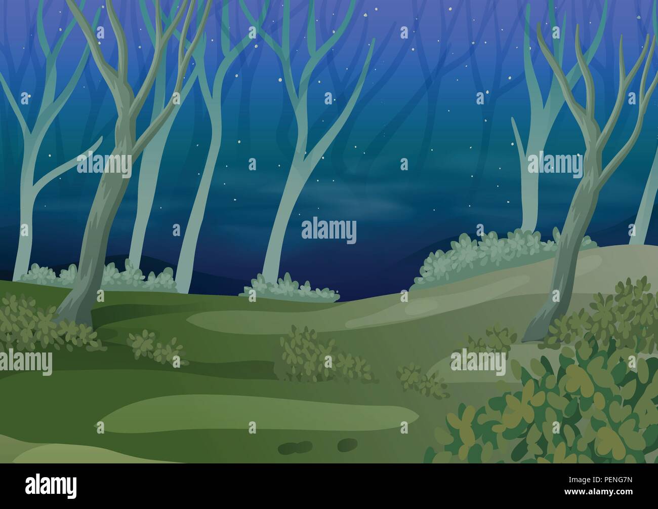 A Forest At Night Time Illustration Stock Vector Image Art Alamy
