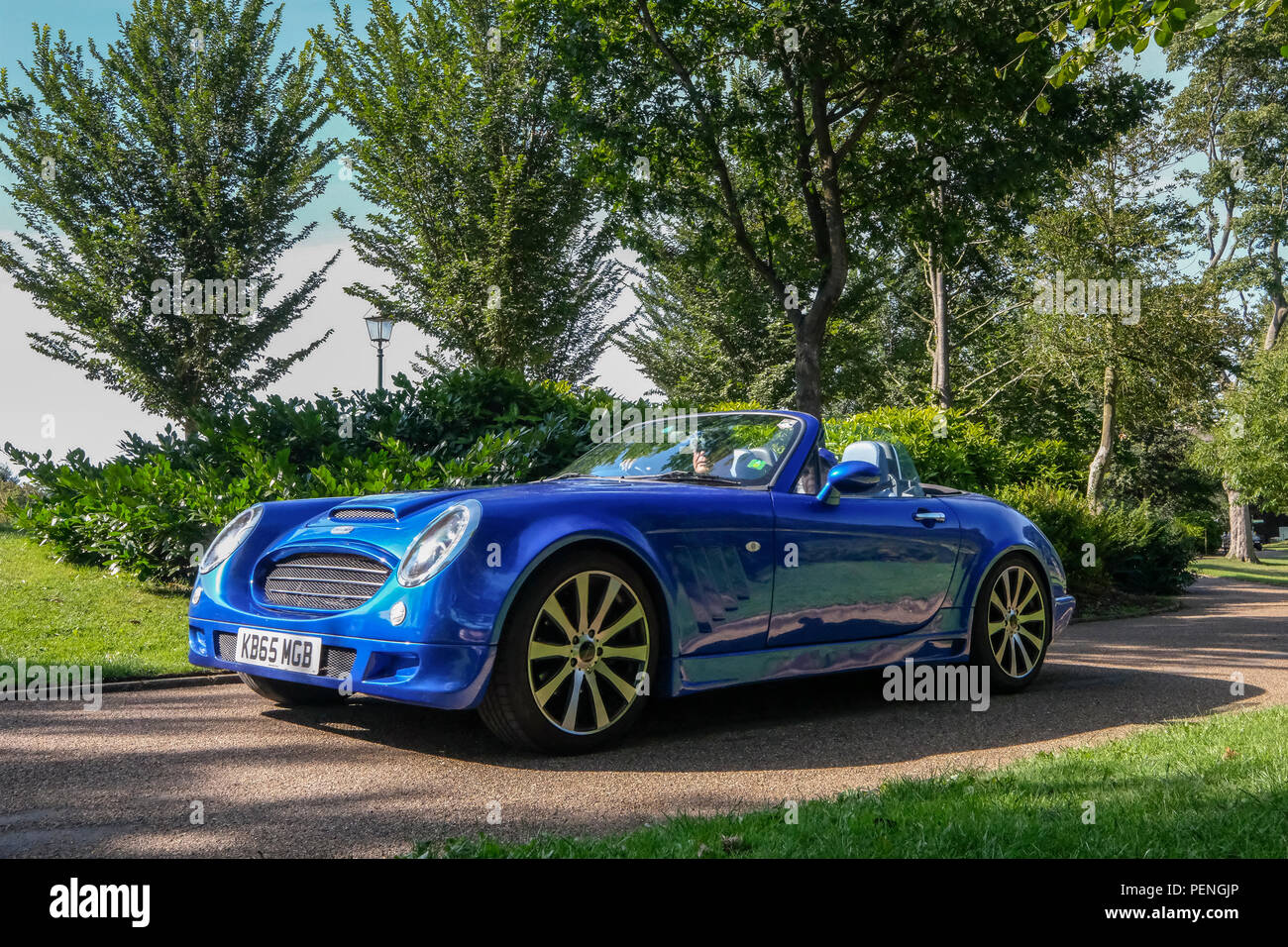 The Healy Enigma sports car Stock Photo