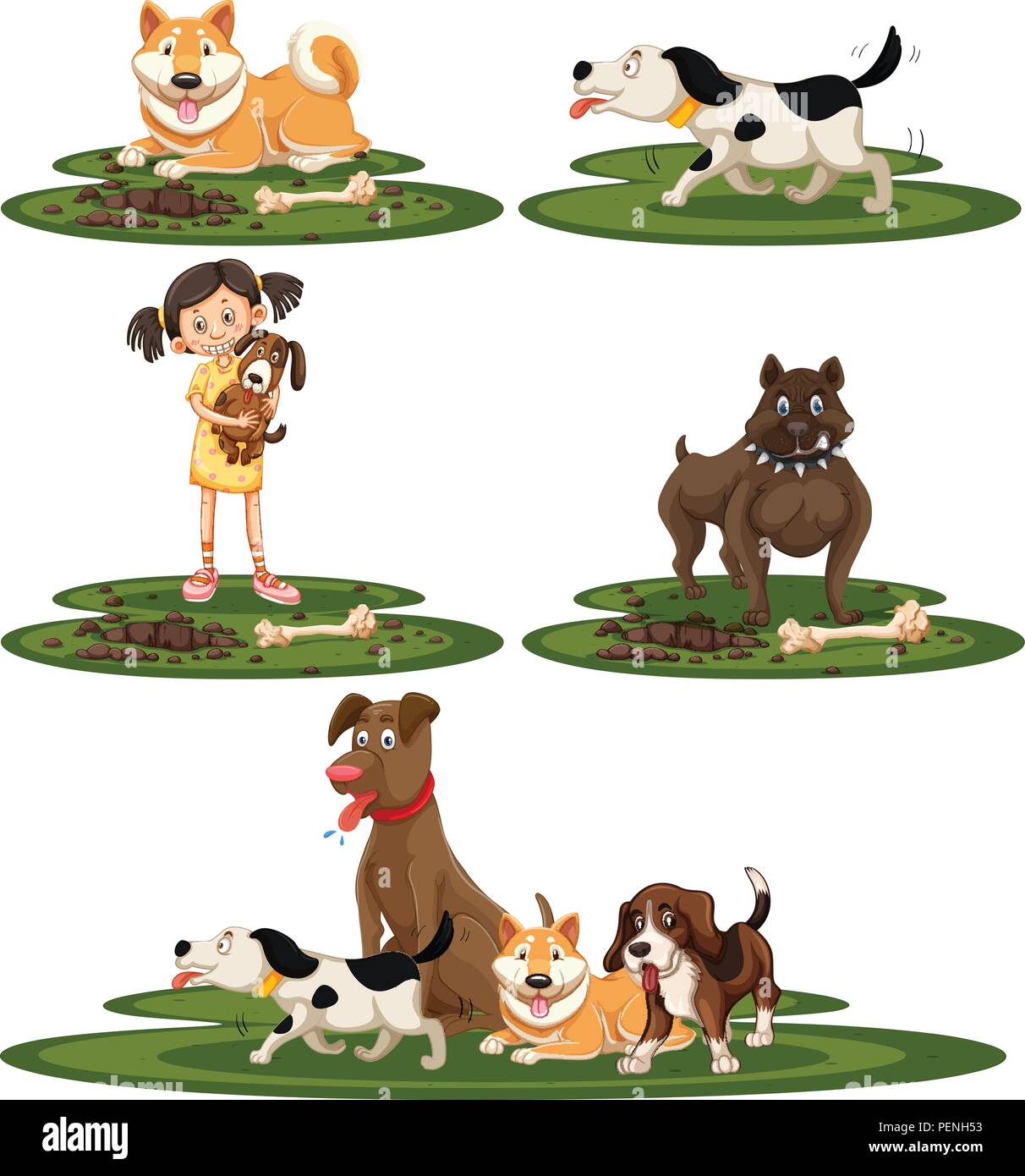 A set of dog breed illustration Stock Vector Image & Art - Alamy