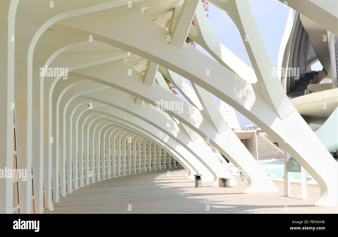 Valencia art and science center by Architect Santiago Calatrava is a masterpiece of art and modern architecture, most popular tourist attraction Stock Photo