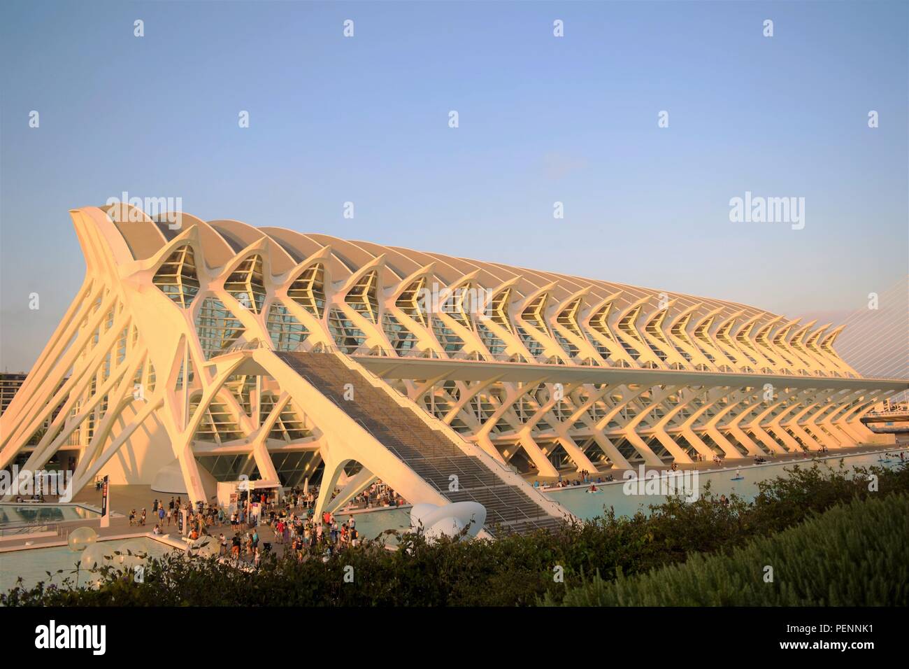 Valencia art and science center by Architect Santiago Calatrava is a