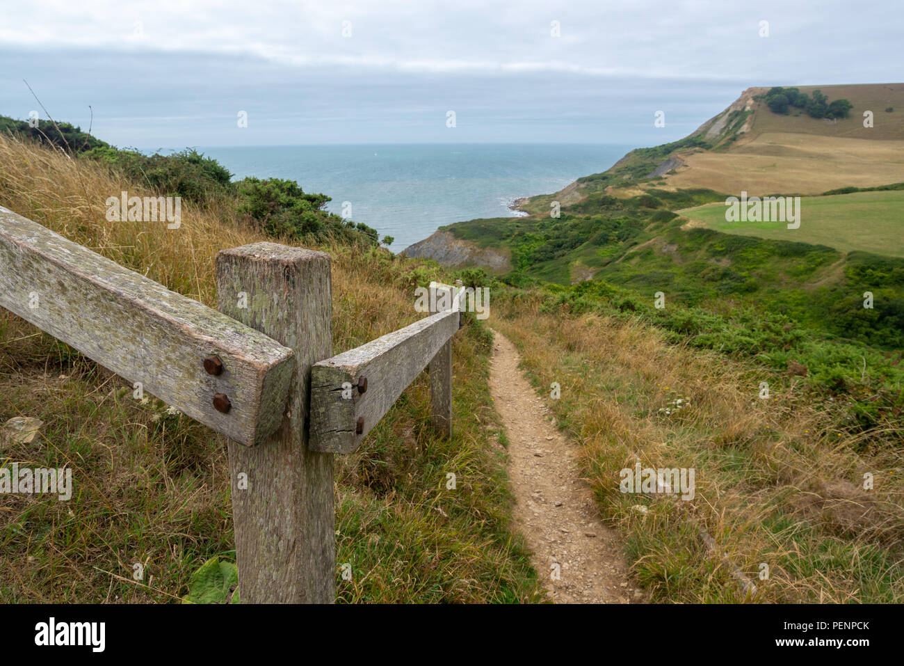 Footpath alongside a fence on the way down to Chapman's Pool, Jurassic Coast, Purbeck, Dorset, England, UK Stock Photo