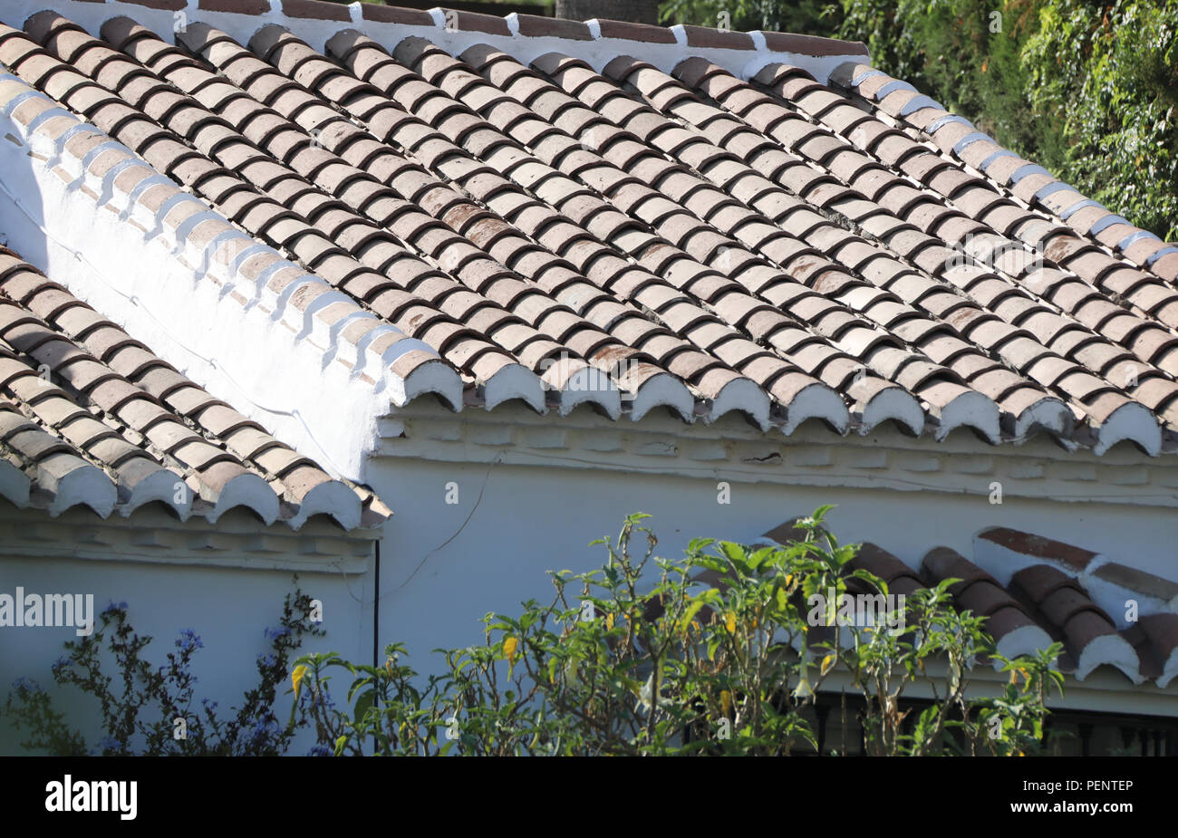 Typical Spanish tiled roof Stock Photo Alamy