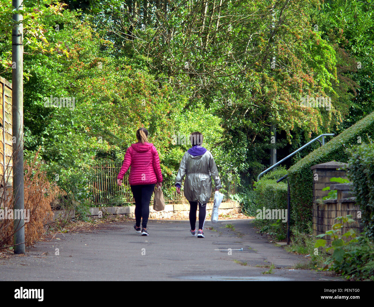 two women with shopping bags viewed from behind with a green tree background walking on the road Stock Photo