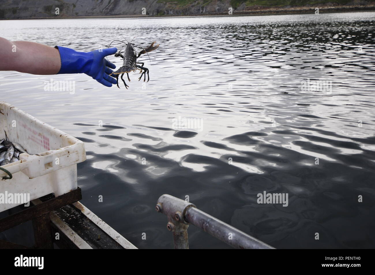 Minimum landing size hires stock photography and images Alamy
