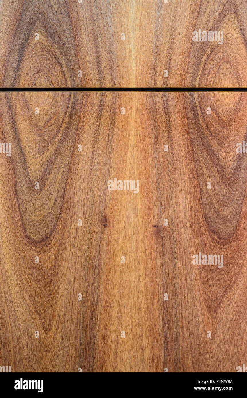 BookMatched Wood Panels Background. Joints of Decorative Finishing