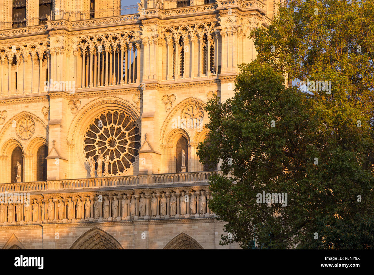 Setting sunlight on the front facade of Cathedral Notre Dame, Paris, France Stock Photo
