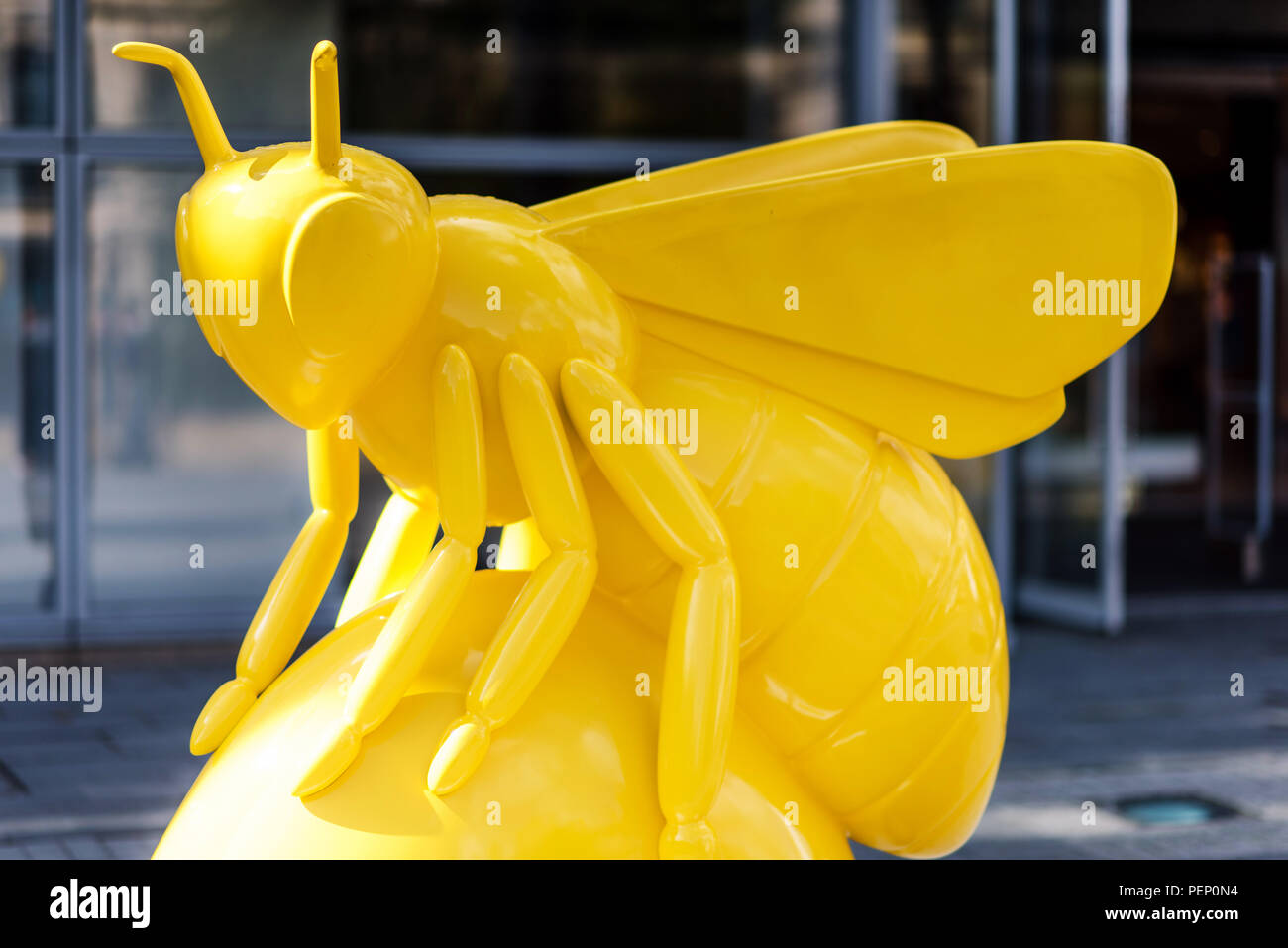 Bee in the City. Manchester. United Kingdom. Stock Photo